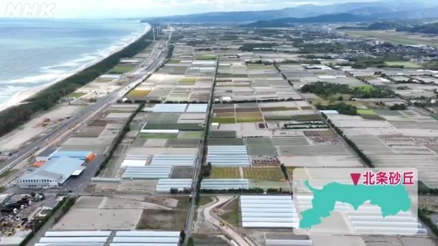 考える鳥取 砂丘地の開発~北条砂丘と桝田新蔵~ ~考えるきっかけ編~ | NHK for School