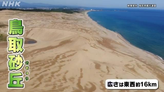 考える鳥取 鳥取砂丘とまちづくり~考えるきっかけ編~ | NHK for School