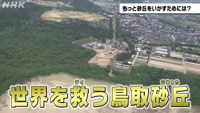 考える鳥取 鳥取砂丘とまちづくり~考えを広げる編~ | NHK for School