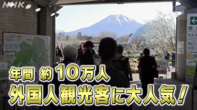 考える鳥取 世界とつながる鳥取県~考えるきっかけ編~ | NHK for School